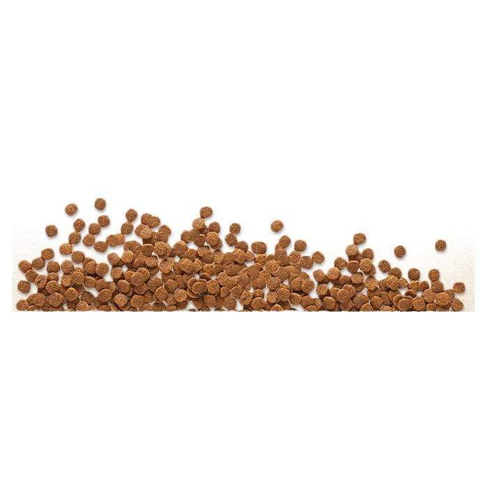 Chicken Meal & Chickpeas Grain Free Dry Dog Food M96525