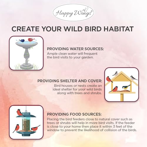 Peanuts Wild Bird Food 5 Pounds O7590