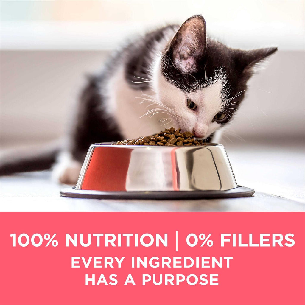 Kitten Dry Food S5905