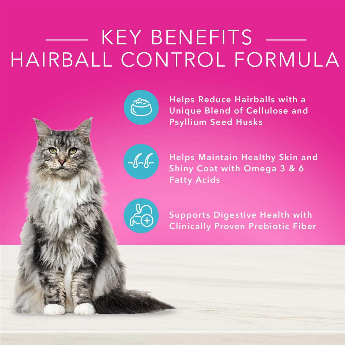 Natural Adult Dry Cat Food D59135