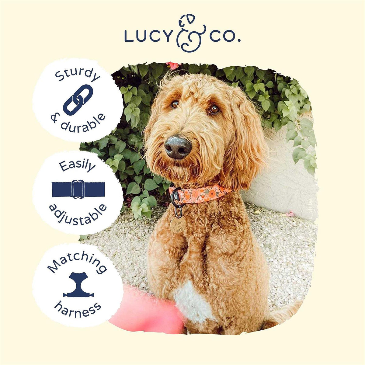 Pink Dog Collar N1835