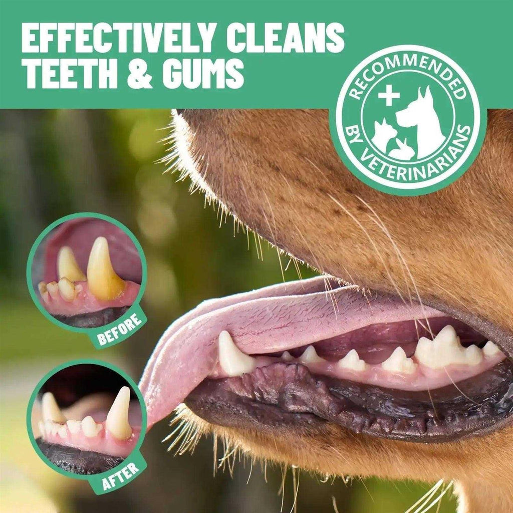 Dental Finger Wipes for Cats & Dogs 50 pc N405113