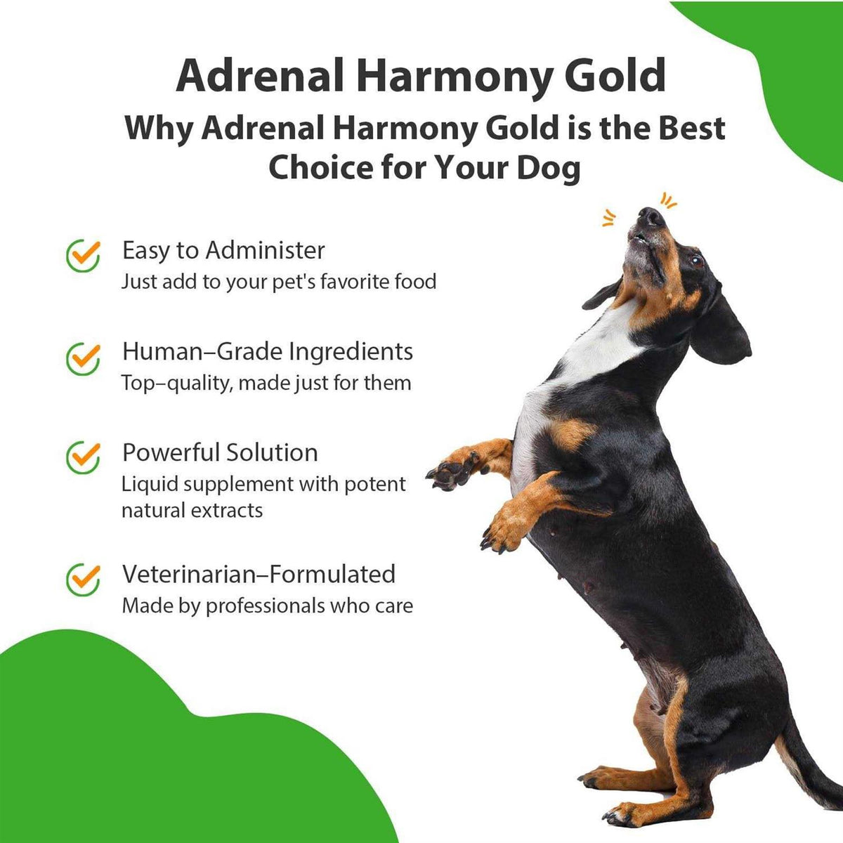 Adrenal Harmony Gold Dog Supplement U29626