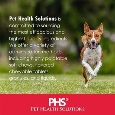Softgel Capsules for Cats Small Dogs O852974