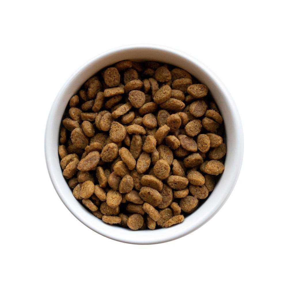 Senior Cat Food P5109