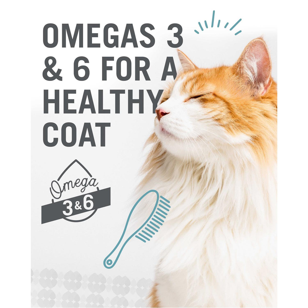 Cat Food D487