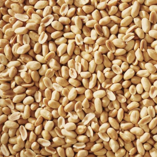 Peanuts Wild Bird Food 5 Pounds O7590