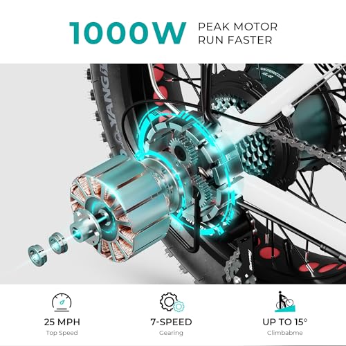 20" Electric Bike with 1000W Peak Motor, 624WH Removable Battery, Folding Fat Tire Bike S116323