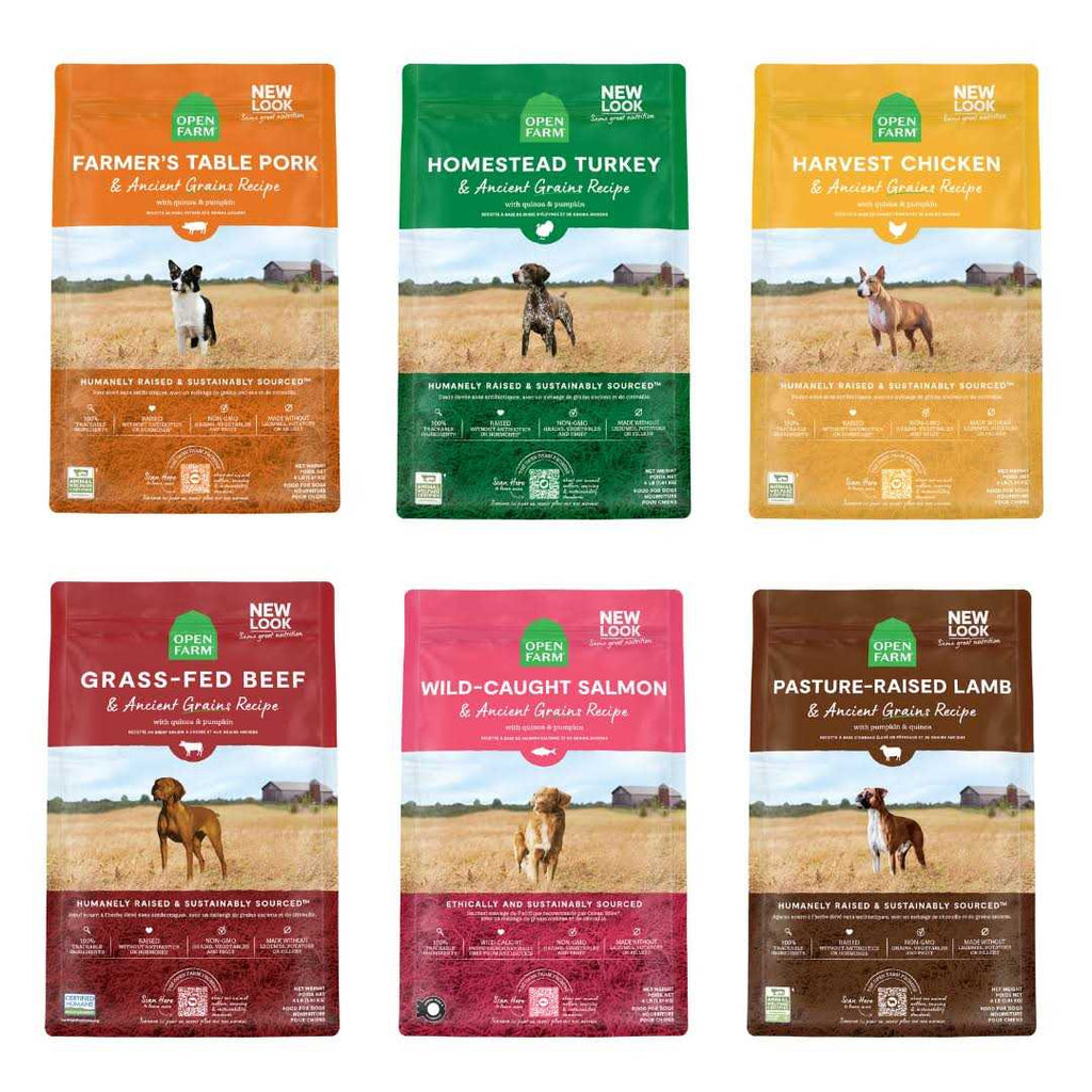 Whitefish & Ancient Grains Dry Dog Food E3379