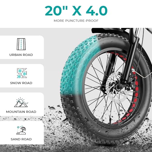 20" Electric Bike with 1000W Peak Motor, 624WH Removable Battery, Folding Fat Tire Bike S116323