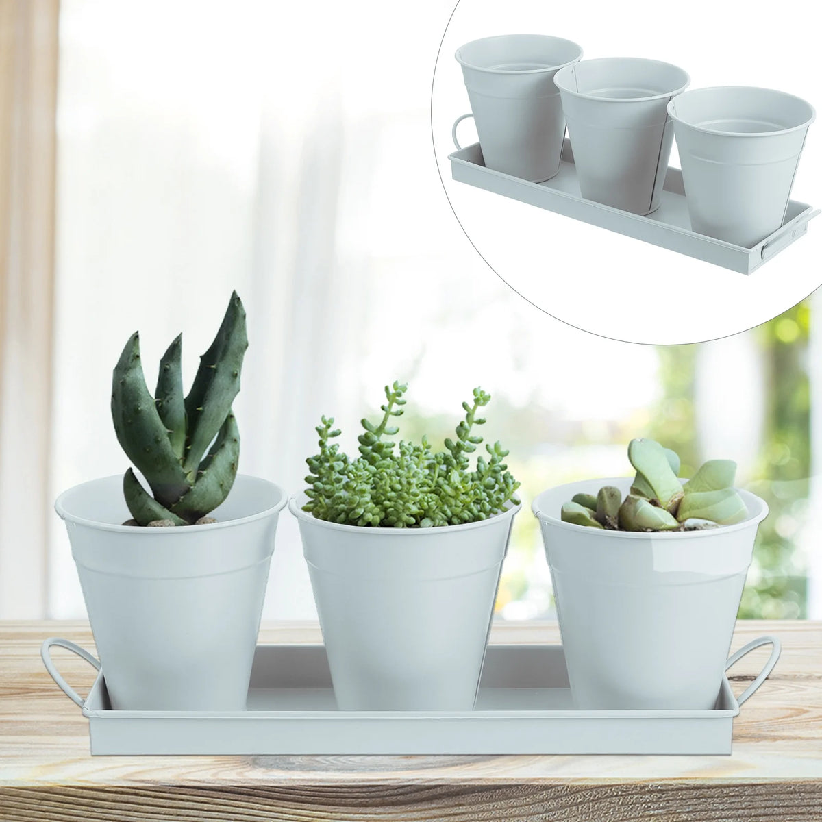 6 pcs Garden Flower Pot with 1pc Tray Q46907