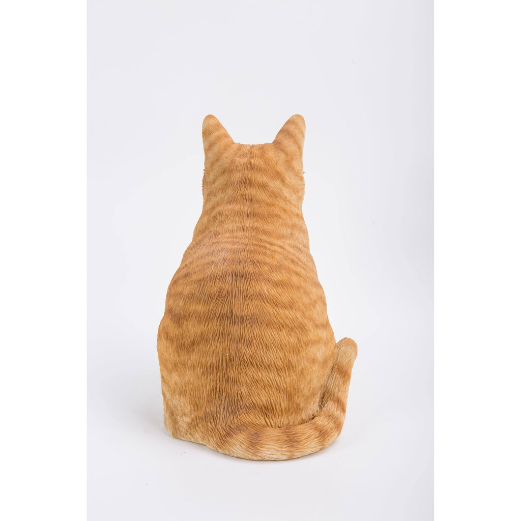 Orange Tabby Cat Sitting E52278