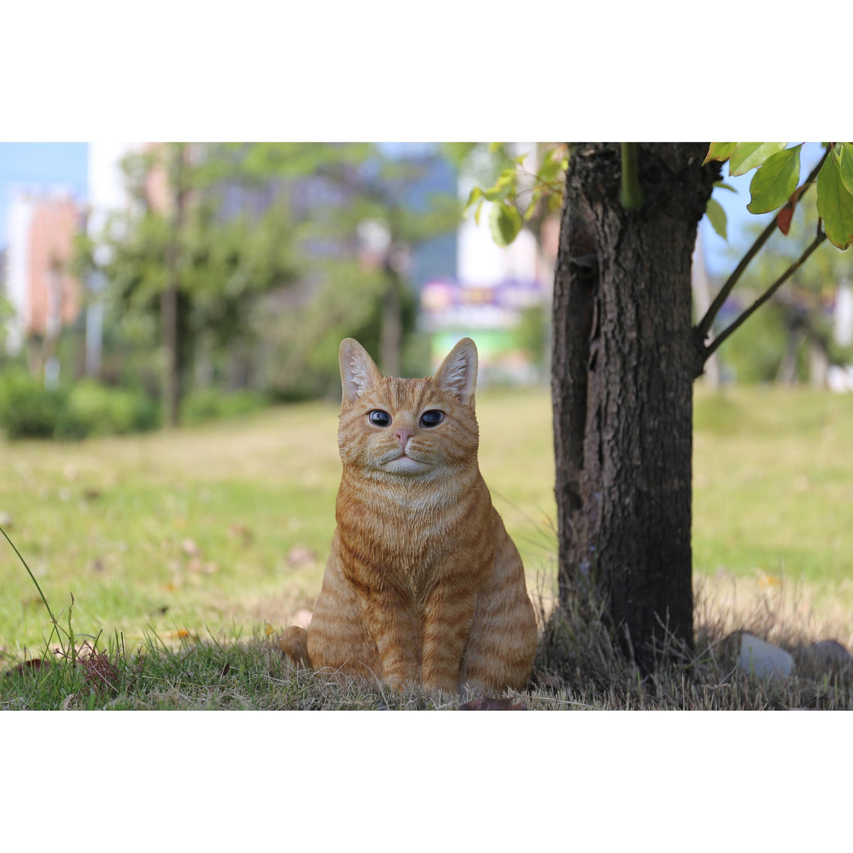 Orange Tabby Cat Sitting E52278