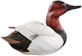 Canvasback Large Decoy U1587