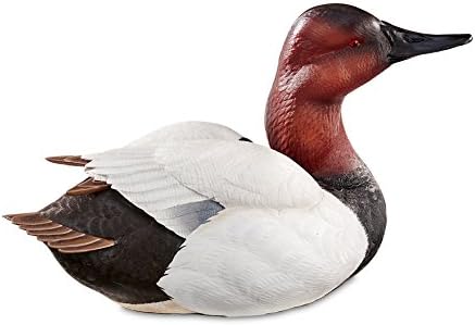 Canvasback Large Decoy U1587