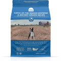 Whitefish & Ancient Grains Dry Dog Food E3379
