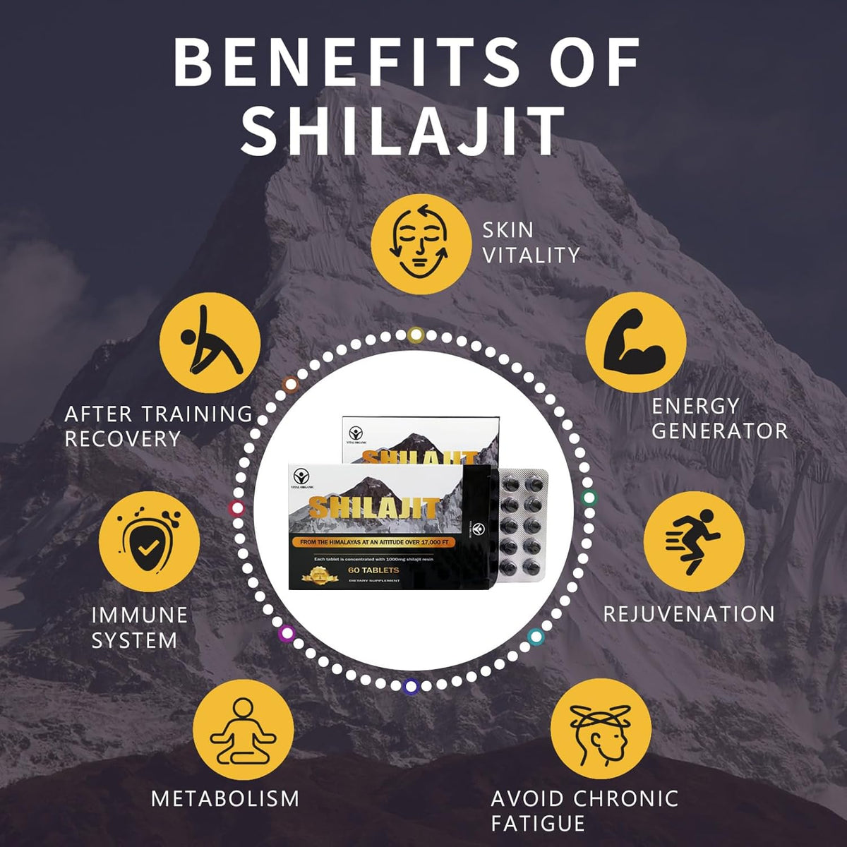 120 Shilajit Tablets, 1000mg each H100