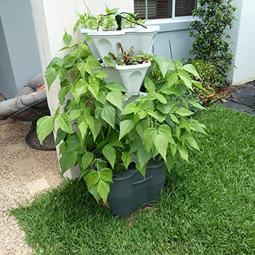 Standard Kit Stone Self Watering Vertical Tower Gardening System J27617