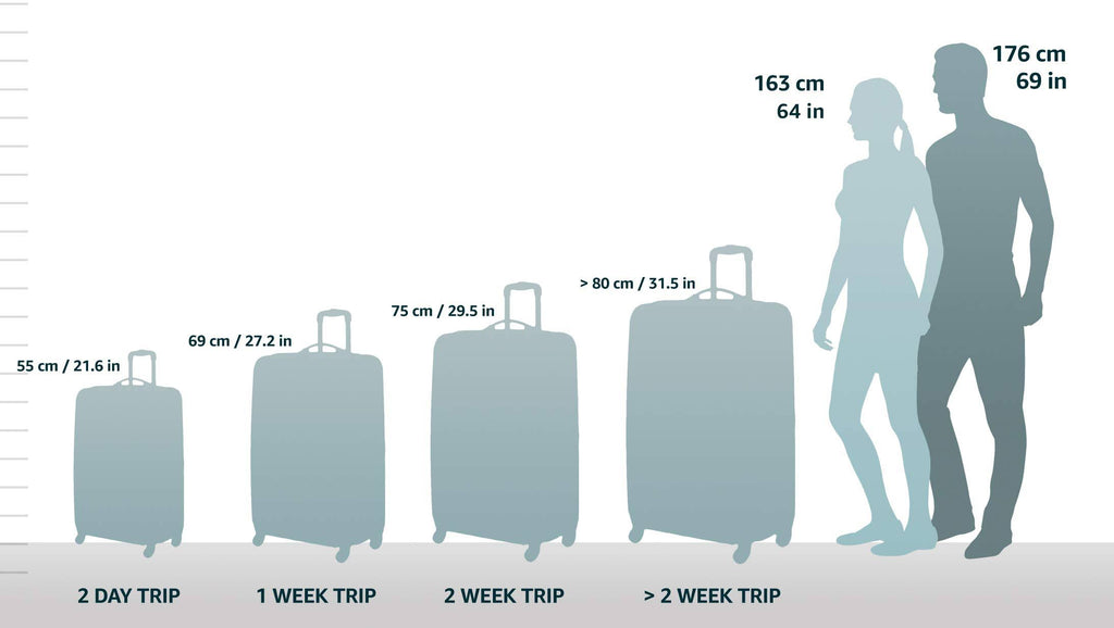 Hardside Spinner Upright Suitcase Q524