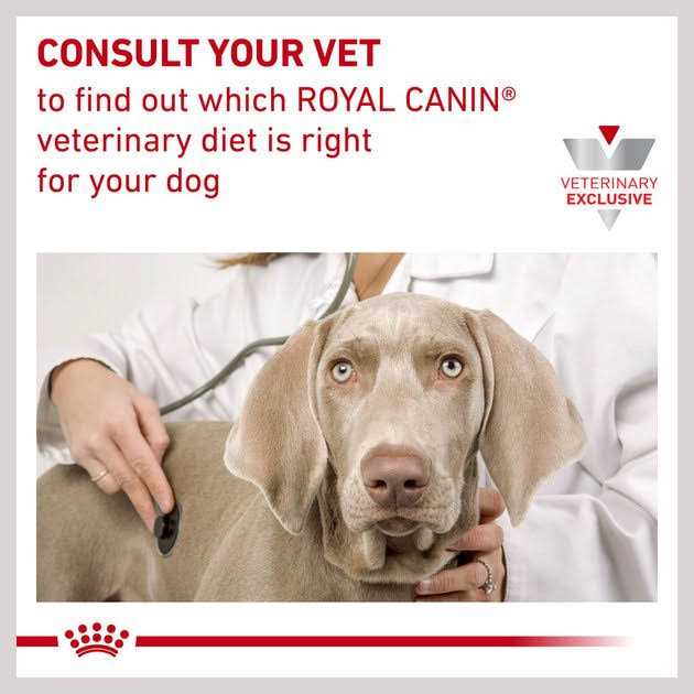 Veterinary Diet Skin Support Dry Dog Food Y302