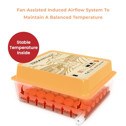 24 Incubator with Automatic Turner, Temperature and Humidity Display and Control E311