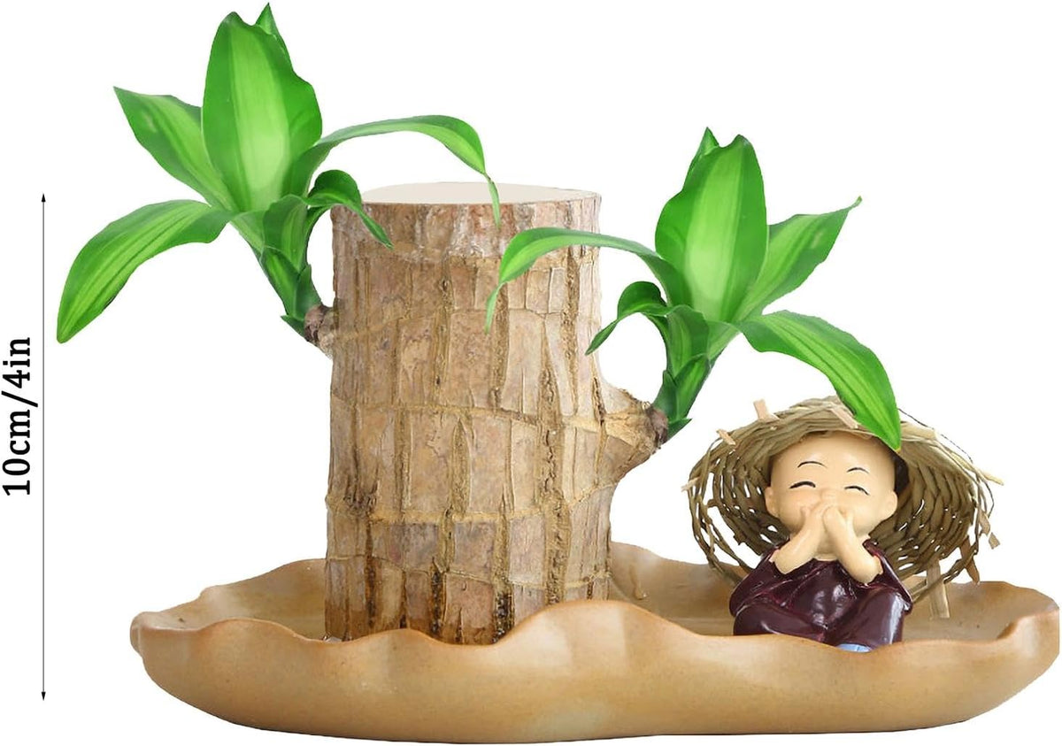 Brazilian Wood Plant R928555
