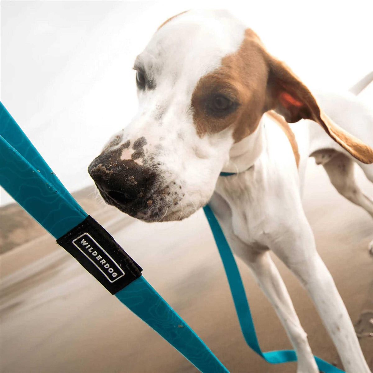 Waterproof Leash Z659628