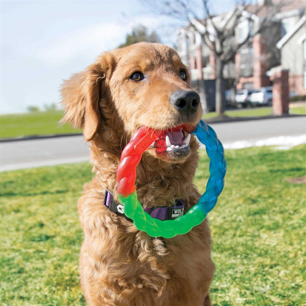Dog Toy P59671