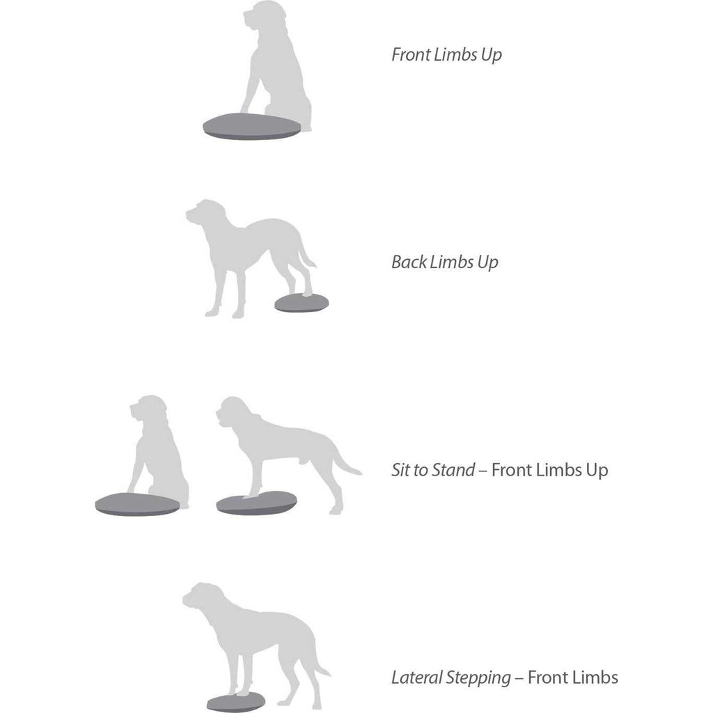 Balance Disc N8969