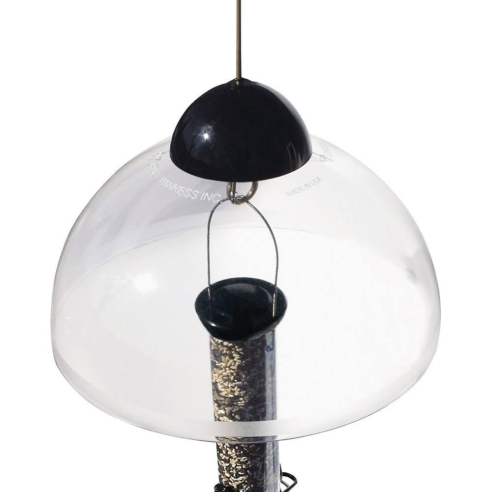 Black Squirrel Guard C685