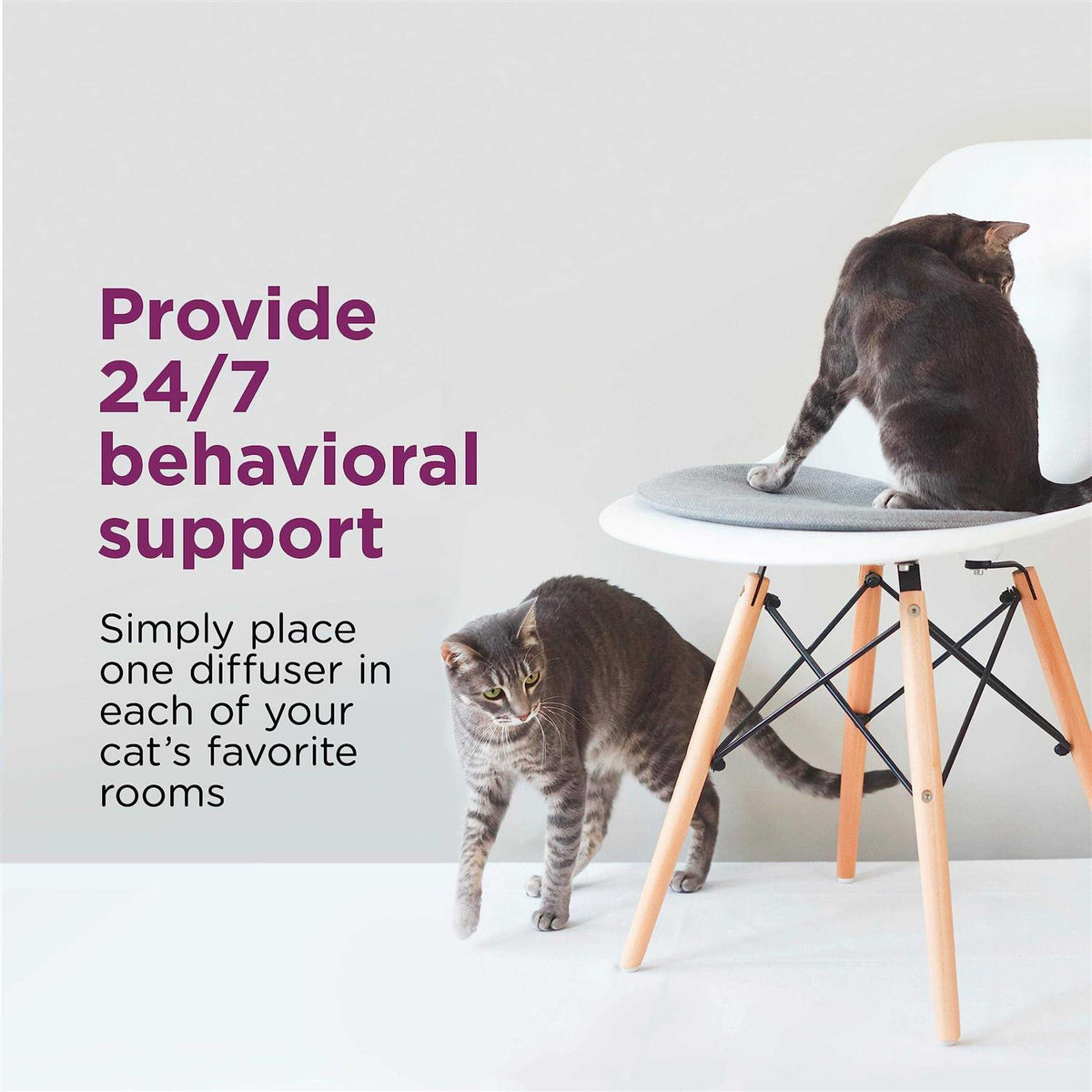 Multicat Calming Diffuser Kit 3 Diffusers and 6 Refills H543174
