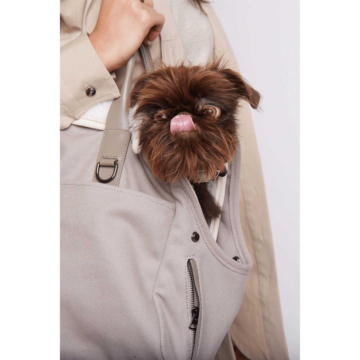 Dog Carrier Bag G152846