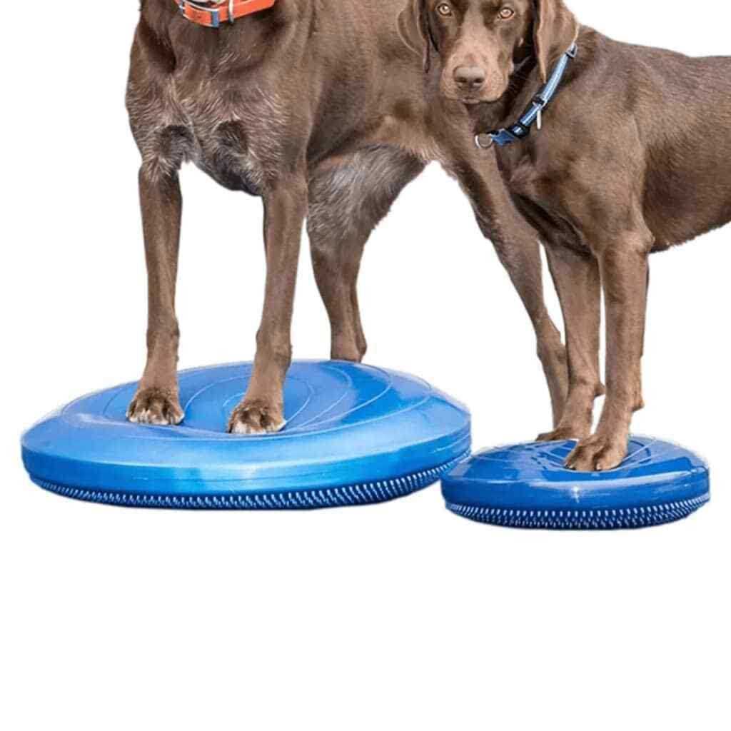 Balance Disc N8969