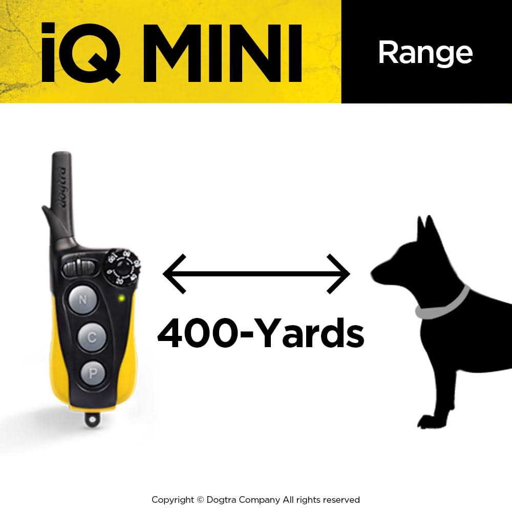 Dog Training Collar X3149