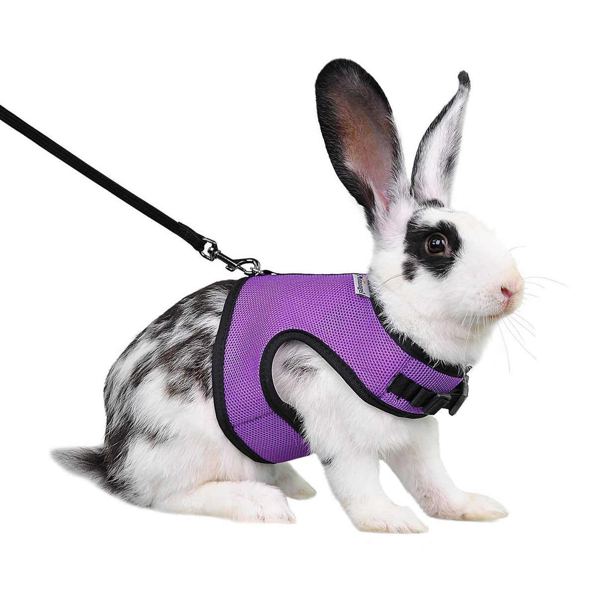 Adjustable Soft Harness with Elastic Leash M409