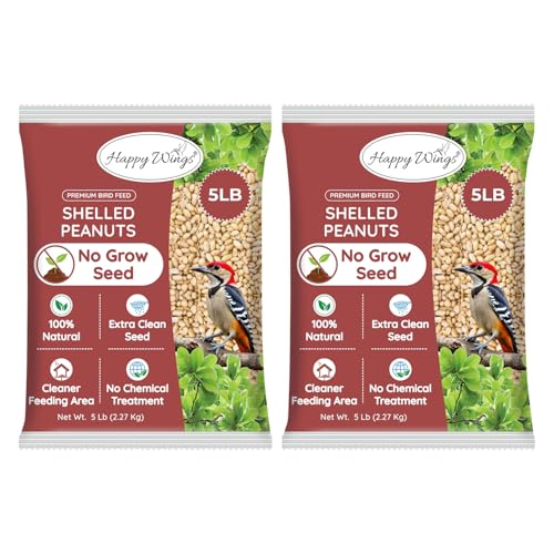 Peanuts Wild Bird Food 5 Pounds O7590