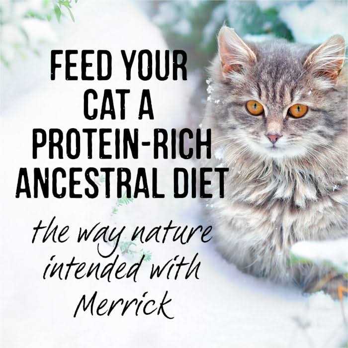 Real Cuts Cat Food P213