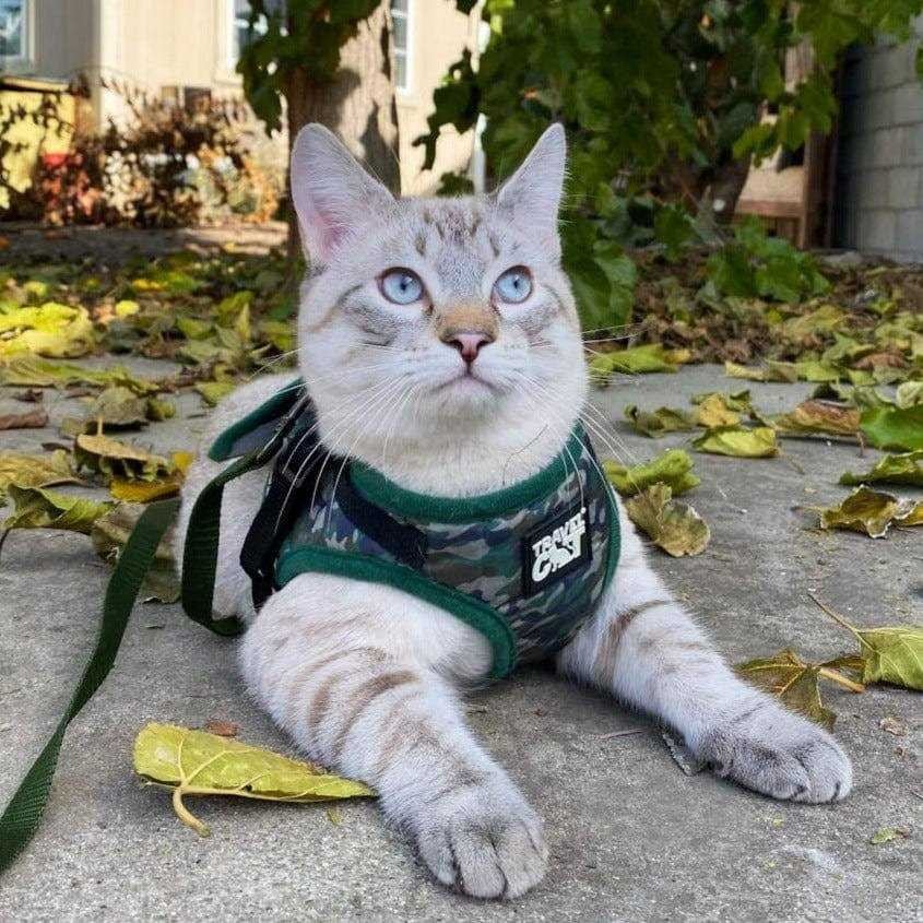 Reflective Cat & Kitten Harness and Leash B365203