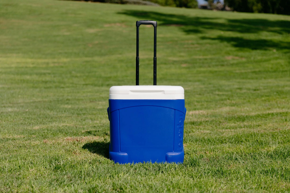 60-Quart Roller Cooler N375059