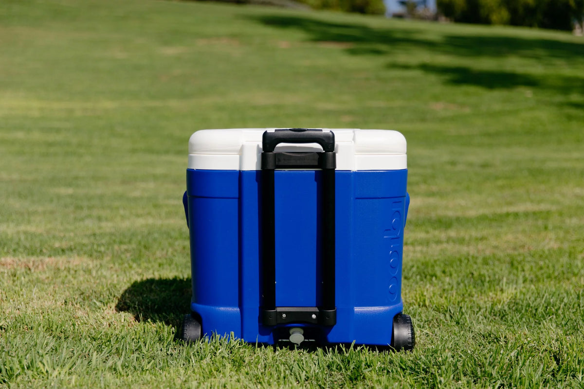 60-Quart Roller Cooler N375059
