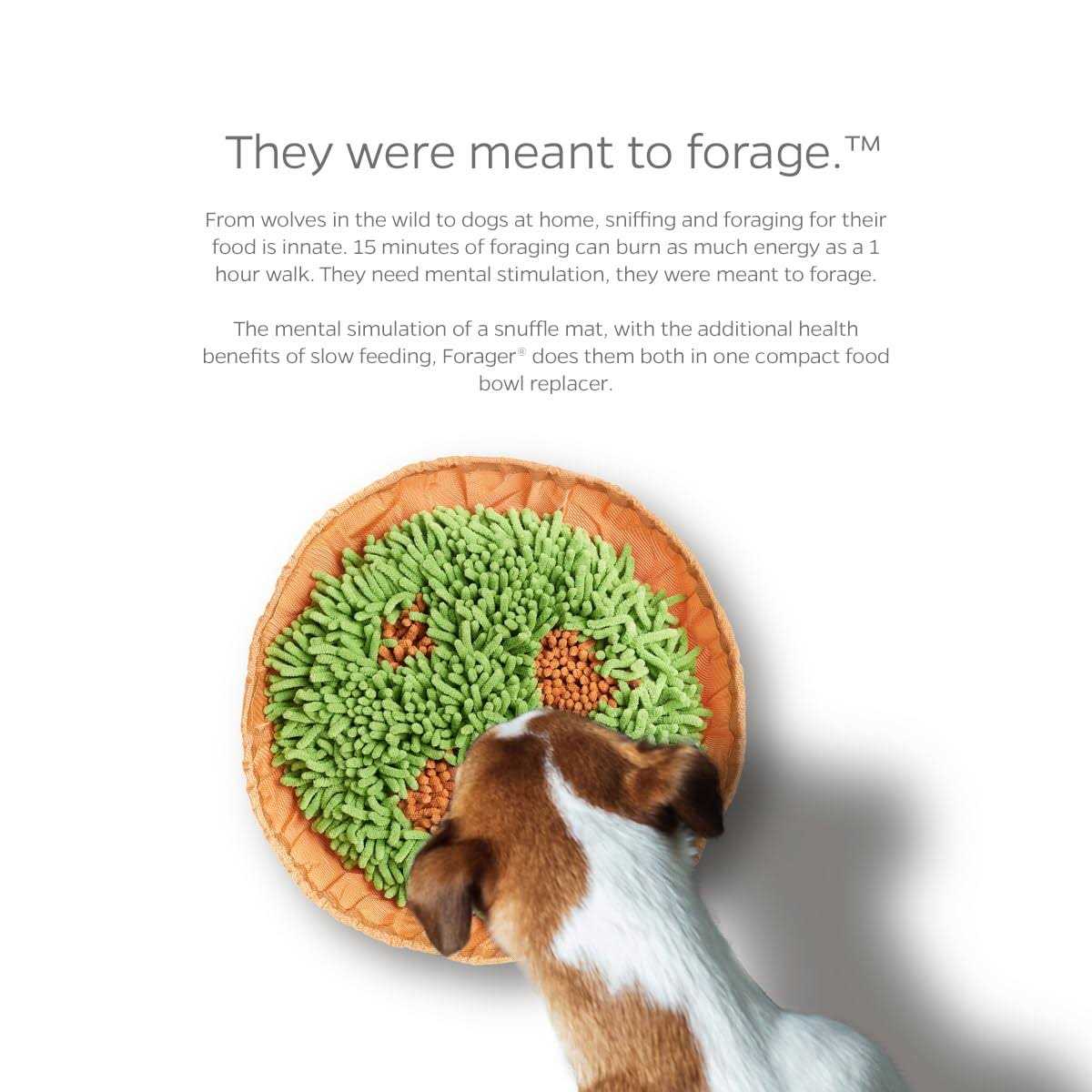 Snuffle Mat & Slow Feeder Dog Bowl I990