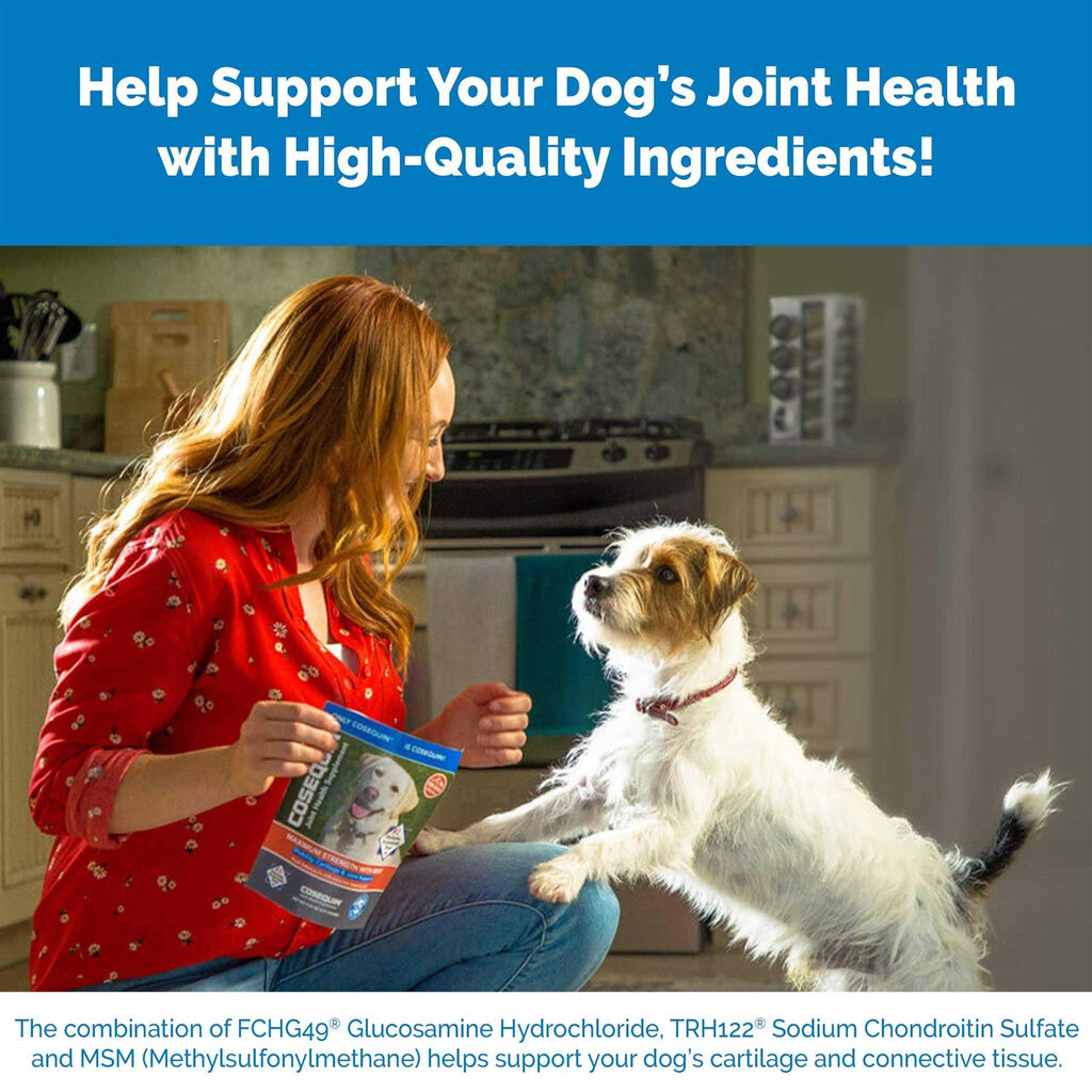 Cosequin DS Plus MSM for Dogs H8224