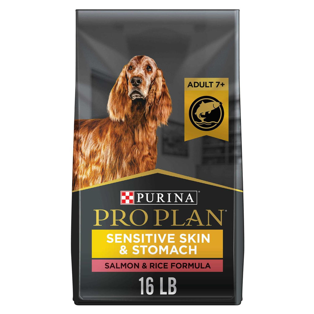 Salmon & Rice Senior Dry Dog Food C757972