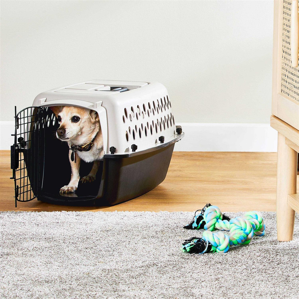 Pet Kennel for Dogs V126829