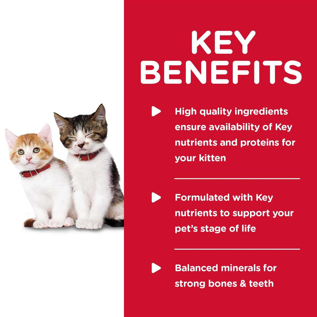 Kitten Wet Cat Food V68795