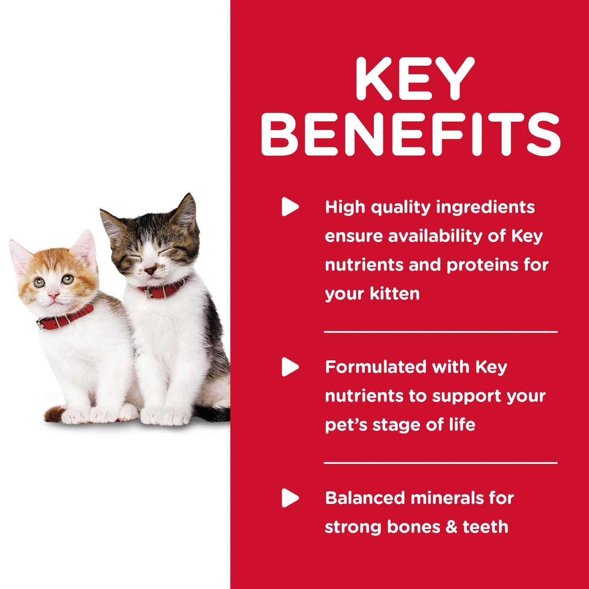 Kitten Wet Cat Food V68795