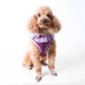 Harness G65483
