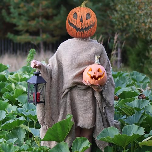 King Pumpkin Full Overhead Costume Mask Adult D1562