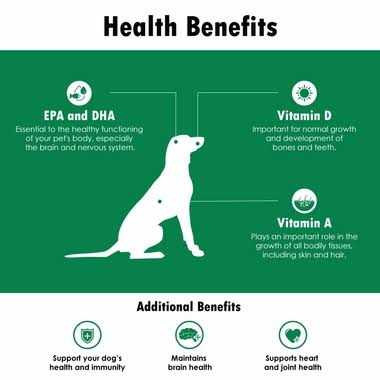 Softgel Capsules for Cats Small Dogs O852974