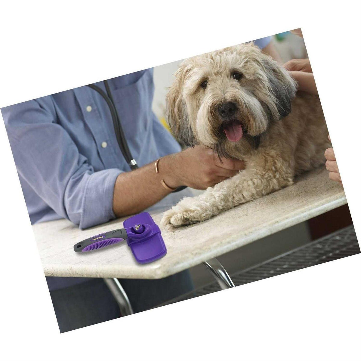 Self-Cleaning Dog & Cat Slicker Brush Y9819
